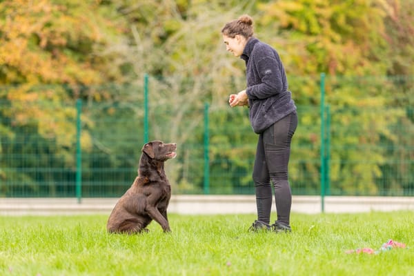 MILO OAA19858 (réservé)