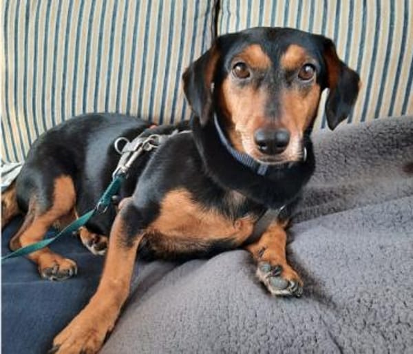 Paula°  in 33142 Büren