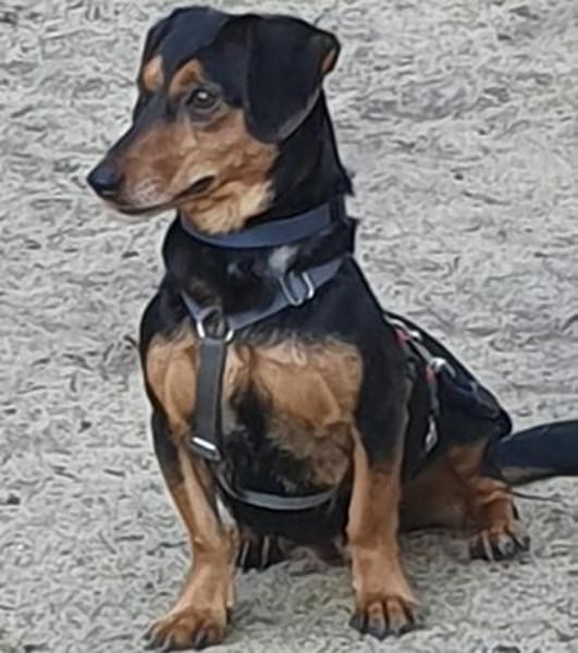 Paula°  in 33142 Büren