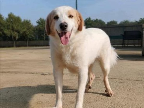 Cuddles - Liebe zum Mitnehmen!