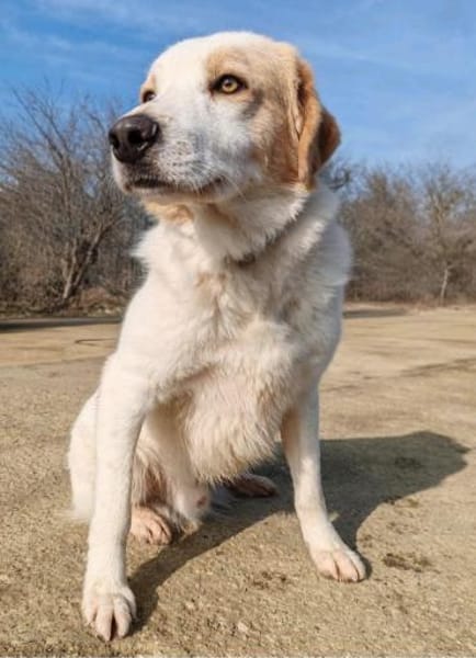 Cuddles - Liebe zum Mitnehmen!