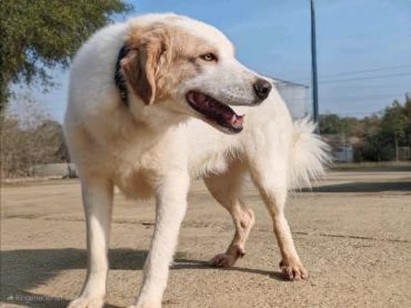 Cuddles - Liebe zum Mitnehmen!