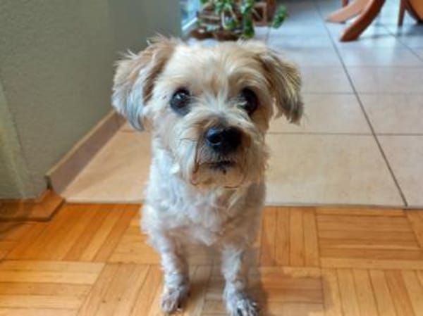 Amber wünscht sich schönen Lebensabend