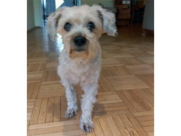 Amber wünscht sich schönen Lebensabend