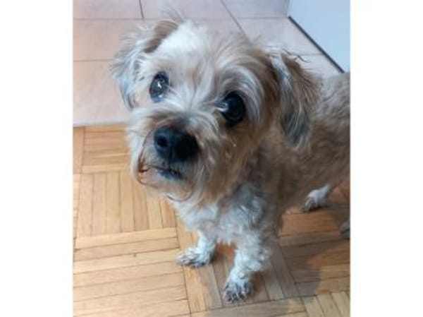 Amber wünscht sich schönen Lebensabend