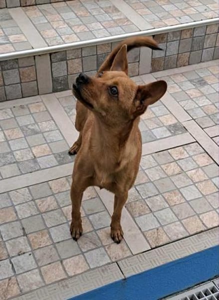 Whoopi - ist ein kleiner Goldschatz