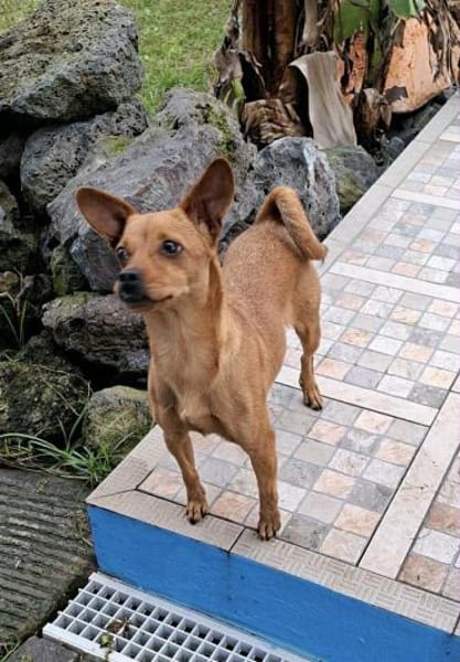 Whoopi - ist ein kleiner Goldschatz