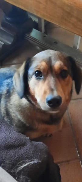 VICKY will deine Einzelprinzessin sein😍