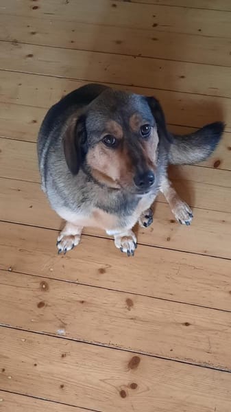 VICKY will deine Einzelprinzessin sein😍