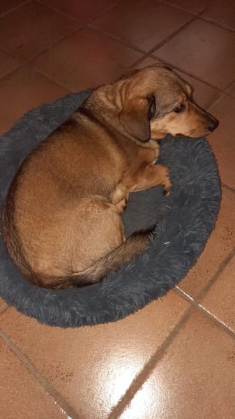 VICKY will deine Einzelprinzessin sein😍