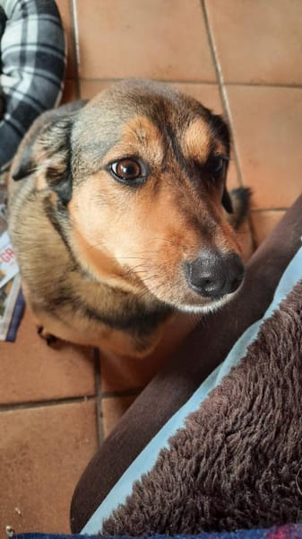 VICKY will deine Einzelprinzessin sein😍