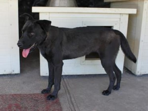 Schöne Reggie in46647 Kerken