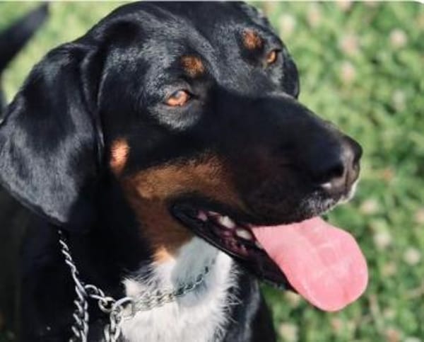 Jolene sucht erfahrene Menschen