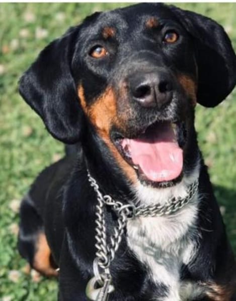 Jolene sucht erfahrene Menschen