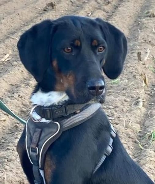 Jolene sucht erfahrene Menschen