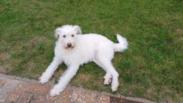 FiNDUS braucht Liebe u. Konsequenz 🙏