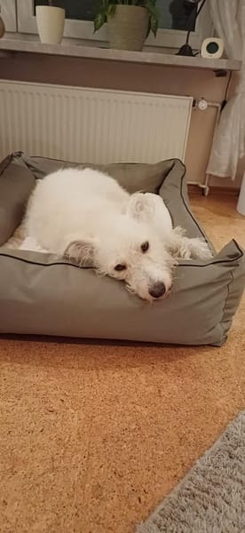 FiNDUS braucht Liebe u. Konsequenz 🙏