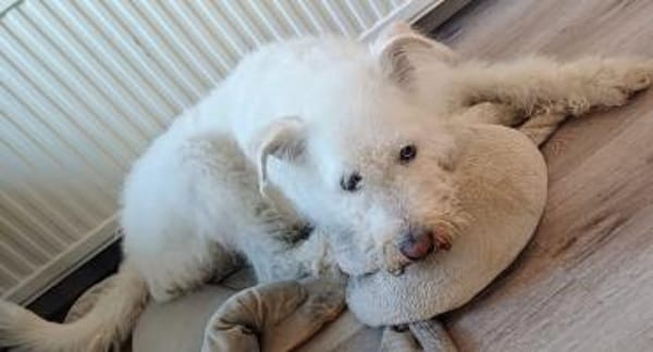 FiNDUS braucht Liebe u. Konsequenz 🙏