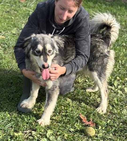 Herzige, hübsche Sammy Jo sucht ein Heim