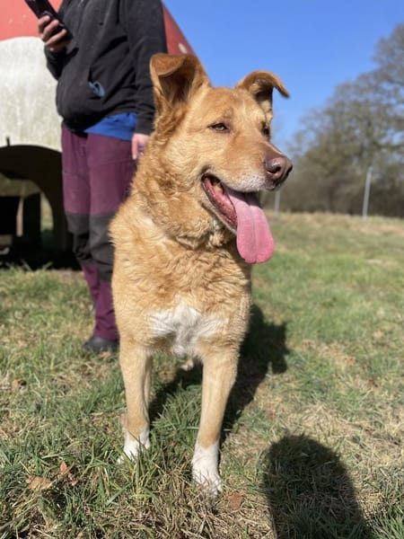 Verschmuster Wirbelwind Tobi