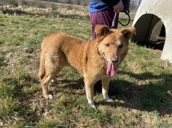 Verschmuster Wirbelwind Tobi