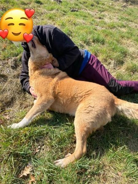 Verschmuster Wirbelwind Tobi