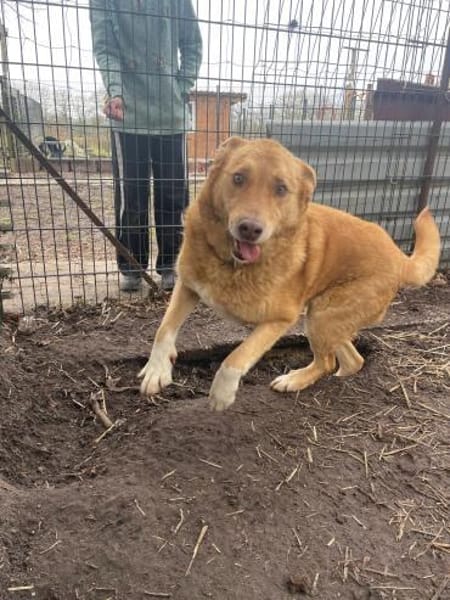 Verschmuster Wirbelwind Tobi
