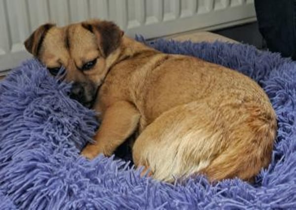 Menschenbezogene CELIA...