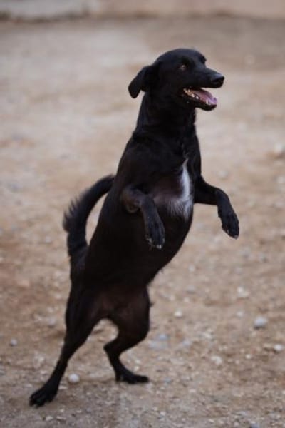 zarte FREYA💖wartet in 01640 Coswig!