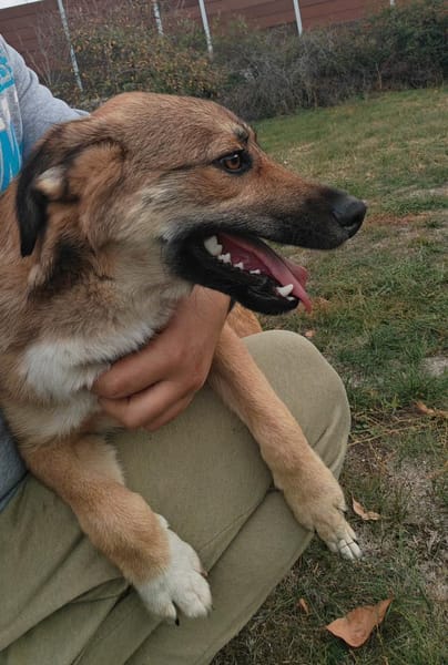 Dani möchte so gerne das TH verlassen