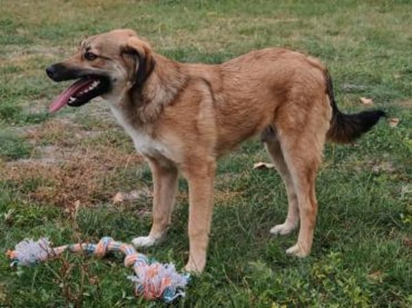 Dani möchte so gerne das TH verlassen