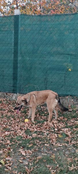 Dani möchte so gerne das TH verlassen