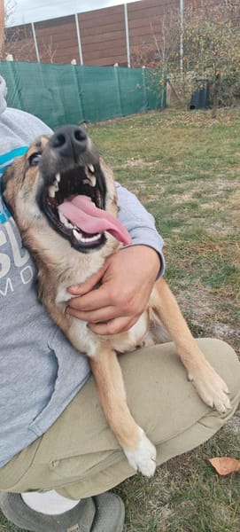 Dani möchte so gerne das TH verlassen