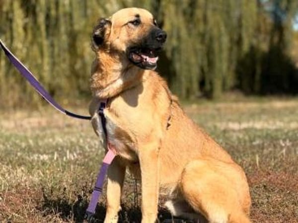 Krümel sucht sein Für-Immer-Zuhause!