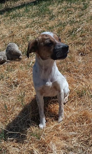 Holly möchte geliebt werdeb