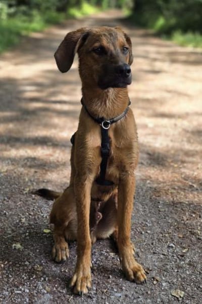 LASKOwartet in 25474 Bönningstedt!