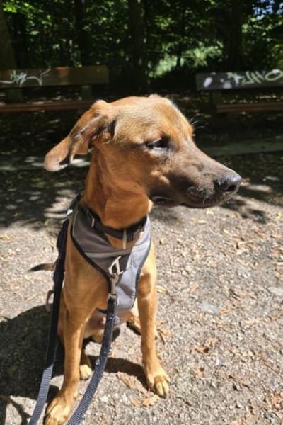 LASKOwartet in 25474 Bönningstedt!