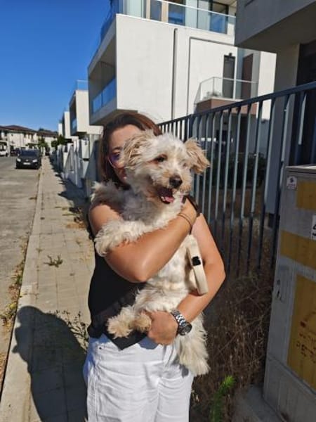 Kara sucht ein Zuhause