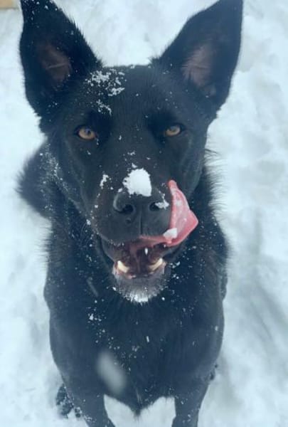 LUNA -auf der Suche nach Geborgenheit!