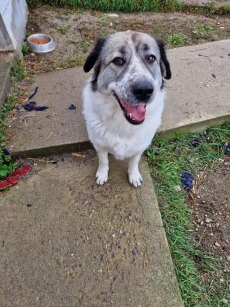 Luna, darf ich bei Euch glücklich sein?