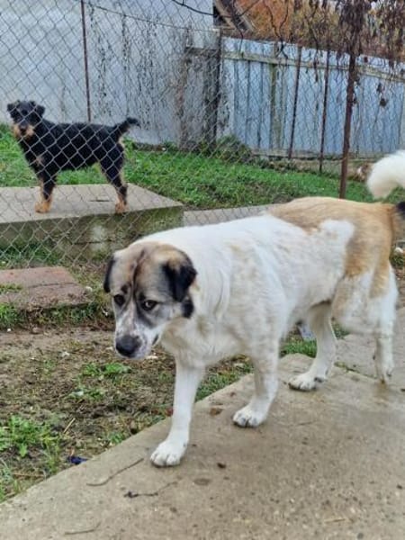 Luna, darf ich bei Euch glücklich sein?