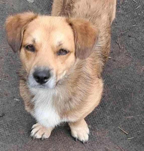 Bolek, liebenswerter Charmeur