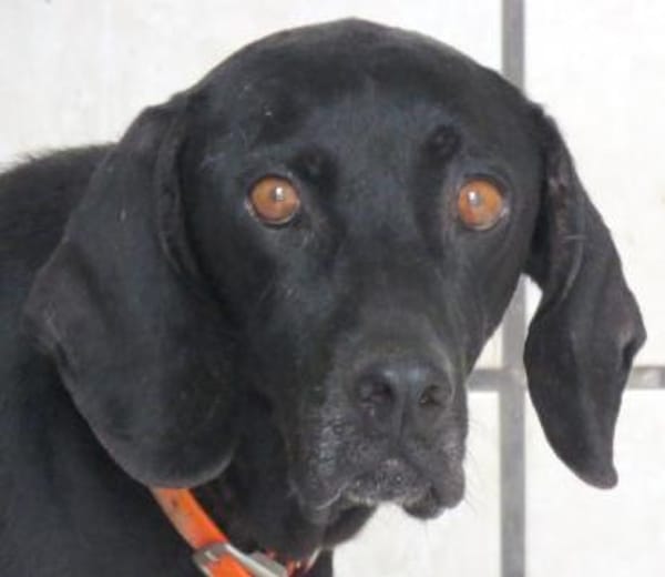 Mommy -liebt Menschen,die sie kennt-