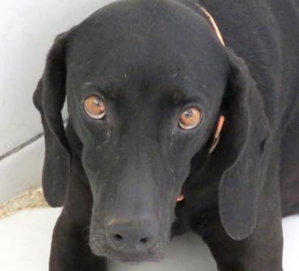 Mommy -liebt Menschen,die sie kennt-