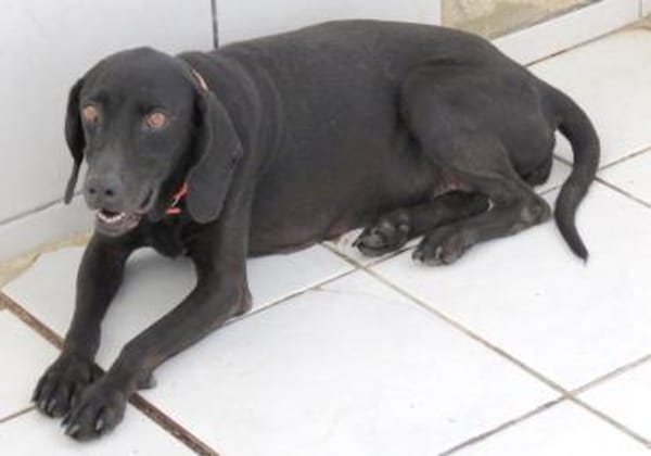 Mommy -liebt Menschen,die sie kennt-