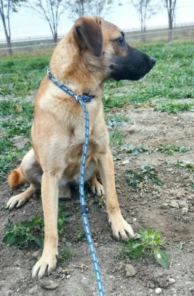 Heidi sucht ein Plätzchen