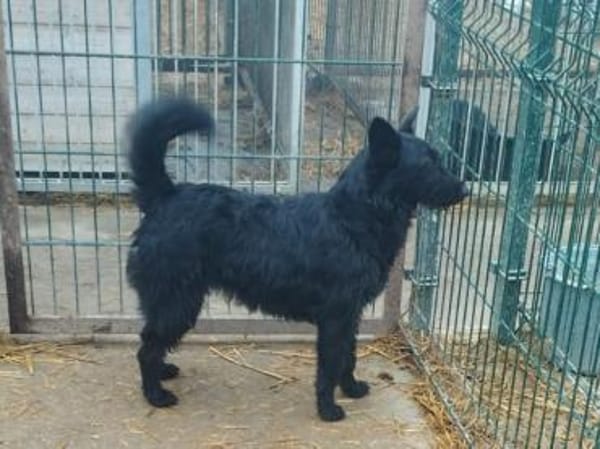 Vaka liebt Kinder, sucht Familie