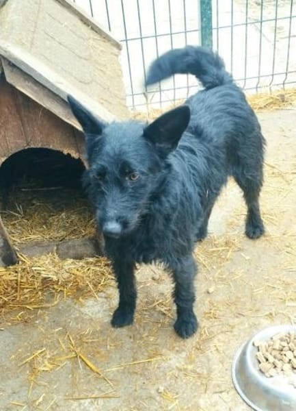 Vaka liebt Kinder, sucht Familie