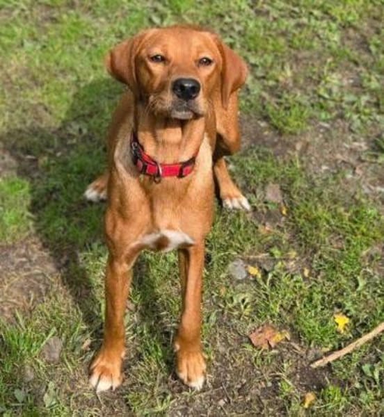 ANNIE 2 braucht Anschluss