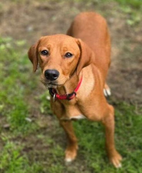 ANNIE 2 braucht Anschluss